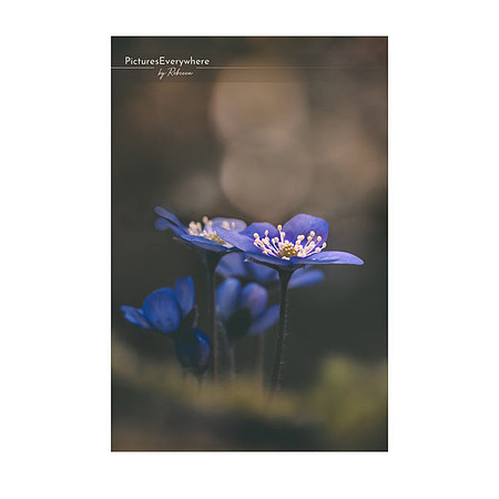 _DSA5552_23-04-19_edited-2-Sh-9x6-IG