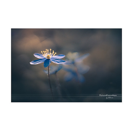 _DSA5630_23-04-19_edited-2-Sh-9x6-IG