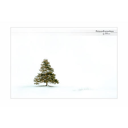 _DSA0092_23-12-10_edited-2-Sh-9x6-IG