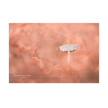 _DSA9201_23-10-26_edited-2-Sh-9x6-IG