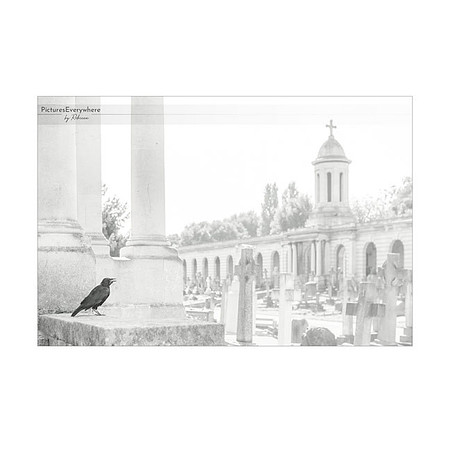 _DSA6476_23-09-09_edited-2-Sh-9x6-IG